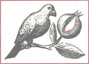 Curious Works Antiques Textiles, Books, and Ephemera